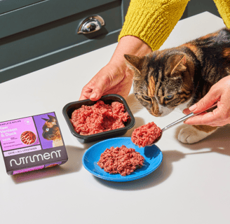 Cat eating nutriment venison & duck stocked at Kitty's Rawr Store