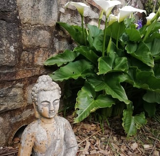 bouddha : le zen au jardin.