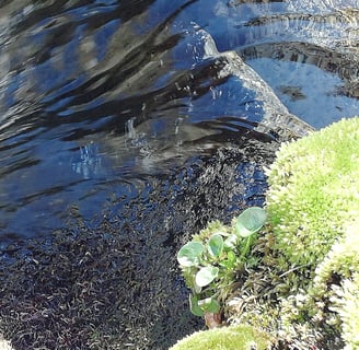 l'eau symbole de la vie en mouvement.