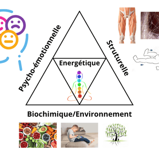 Triangle de santé en kinésiologie