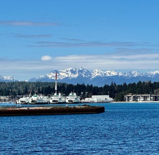 Multiple ferries on Bainbridge Island with the Olympics in the background