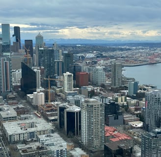 downtown seattle from the top of the space needle