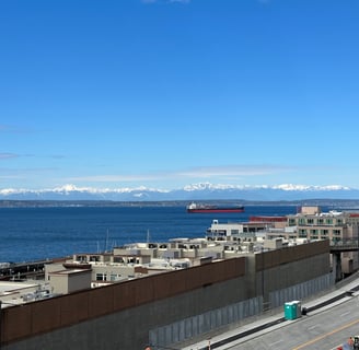 a large ship in the water with mountains in the background