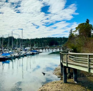 a dock with boats and a bird on the water