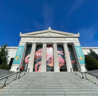 Shedd Aquarium in Chicago, a white neo classical building with columns