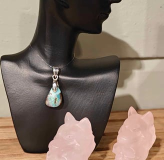 een hanger van abalone met zilver