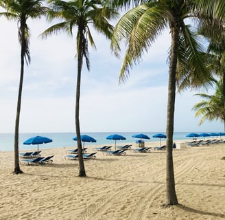 a beach with blue umbrellas and blue umbrellas, the Ritz Carlton, USA