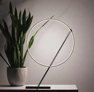 a plant in a potted planter with a minimalistic lamp on the table