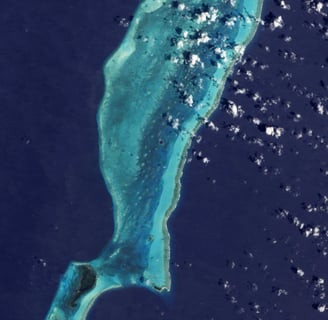 Exploring Belize’s Great Blue Hole, The Massive Underwater Sinkhole That’s Visible From Space
