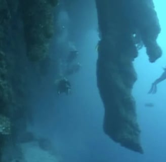 Exploring Belize’s Great Blue Hole, The Massive Underwater Sinkhole That’s Visible From Space