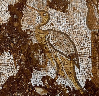 Roman Mosaics Featuring Sea Creatures Unearthed In Turkey