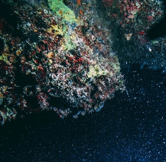 Exploring Belize’s Great Blue Hole, The Massive Underwater Sinkhole That’s Visible From Space