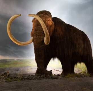 100,000-Year-Old Woolly Mammoth Bones In Russia