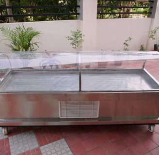 Dead Body Freezer Box On Rent