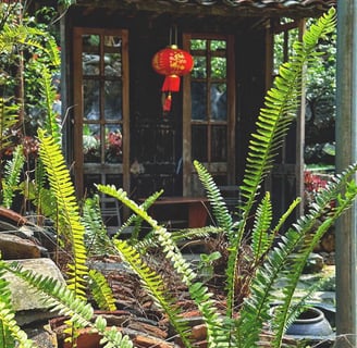 Hình view bên ngoài phòng của Mế Farmstay Cao Bằng