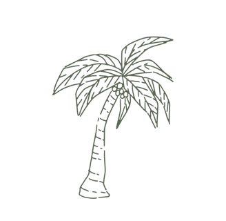 Sketch of a coconut tree with leaves and coconuts, symbolizing tropical vibes and island life.