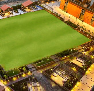 Party  Lawn