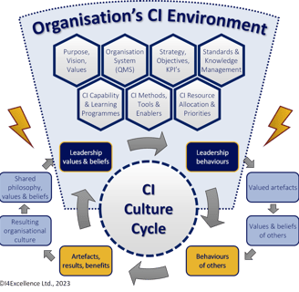 A diagrammatic meta-model of an organisation's CI Environment adapted from reference.