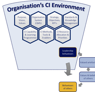 A diagram representing The CI Environment from the perspective of CI practitioners.