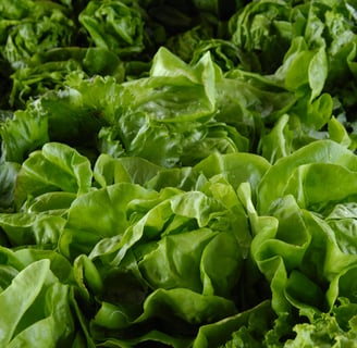 Leafy Greens