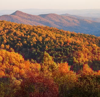 A mountain scene in the fall with leaves turning orange