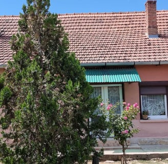 Ländliches Familienhaus bei Pécs – ruhig gelegen, viel Platz, fairer Preis