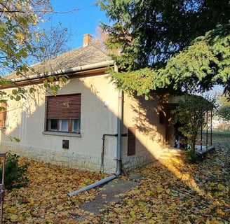 Haus am Balaton kaufen