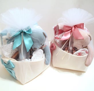 gifts for twins