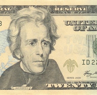 $20 bill