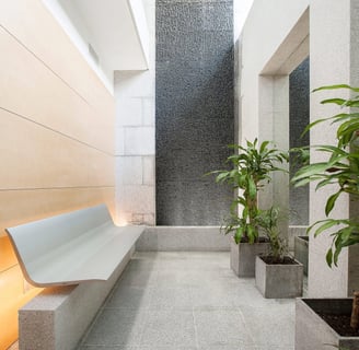 Modern clinic waiting area with natural light and indoor plants.
