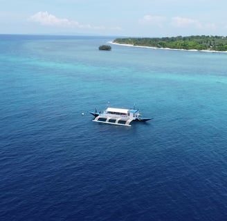 balicasag island tour image