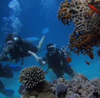 Enjoy Safe and Guided Snorkeling