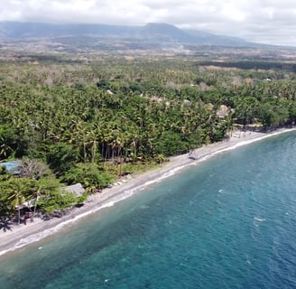 Dauin overhead view tour