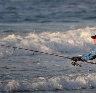 van staal fishing reel