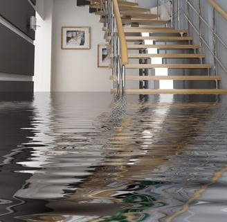 Flooded house needs independant water damage assessment and restoration