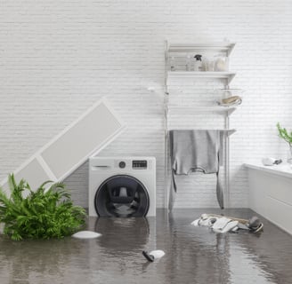 Flood Restoration Assessment for insurance claim