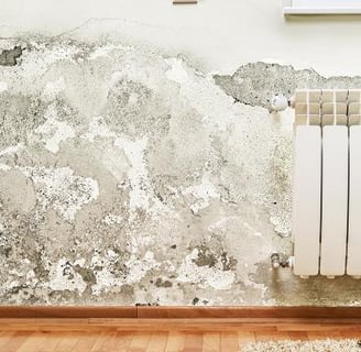 Interior wall with significant mold growth and water damage above a heater.