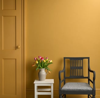 mustard yellow door and wall paint