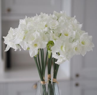 white daffodils