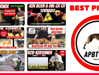 PIT BULL VIDEOS APBT HISTORY GAMEDOG YARD TOUR