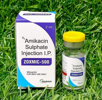 Amikacin Sulphate Injection I.P. (ZOXMIC-500)