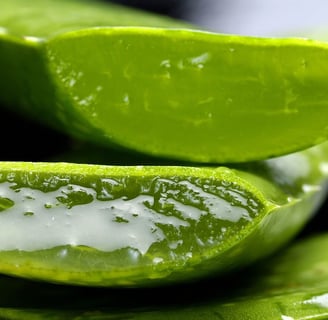 a close up of a sliced up aloeeler of aloeolum