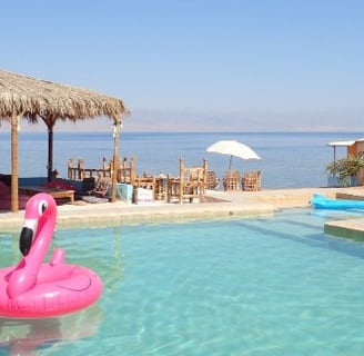 vaaleanpunainen flamingo kelluu uima-altaassa rannalla