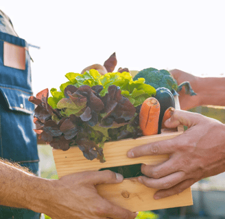 artisan local