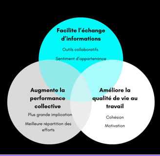 schéma communication interne