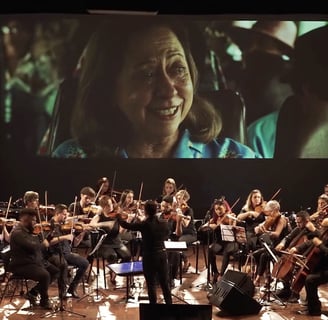 a conductor and orchestra in a concert