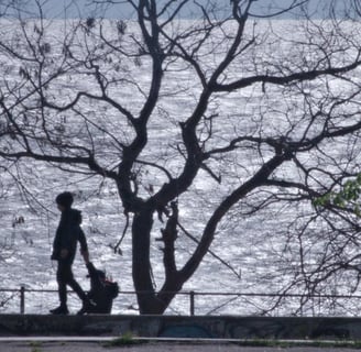 a man walking down a sidewalk with a dog