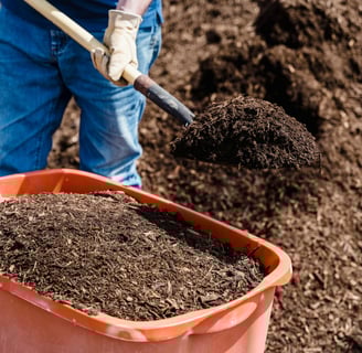 manure and compost for garden