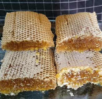 Pieces of Honey Comb