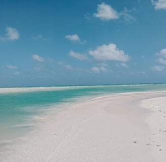 punta mosquito Isla Holbox